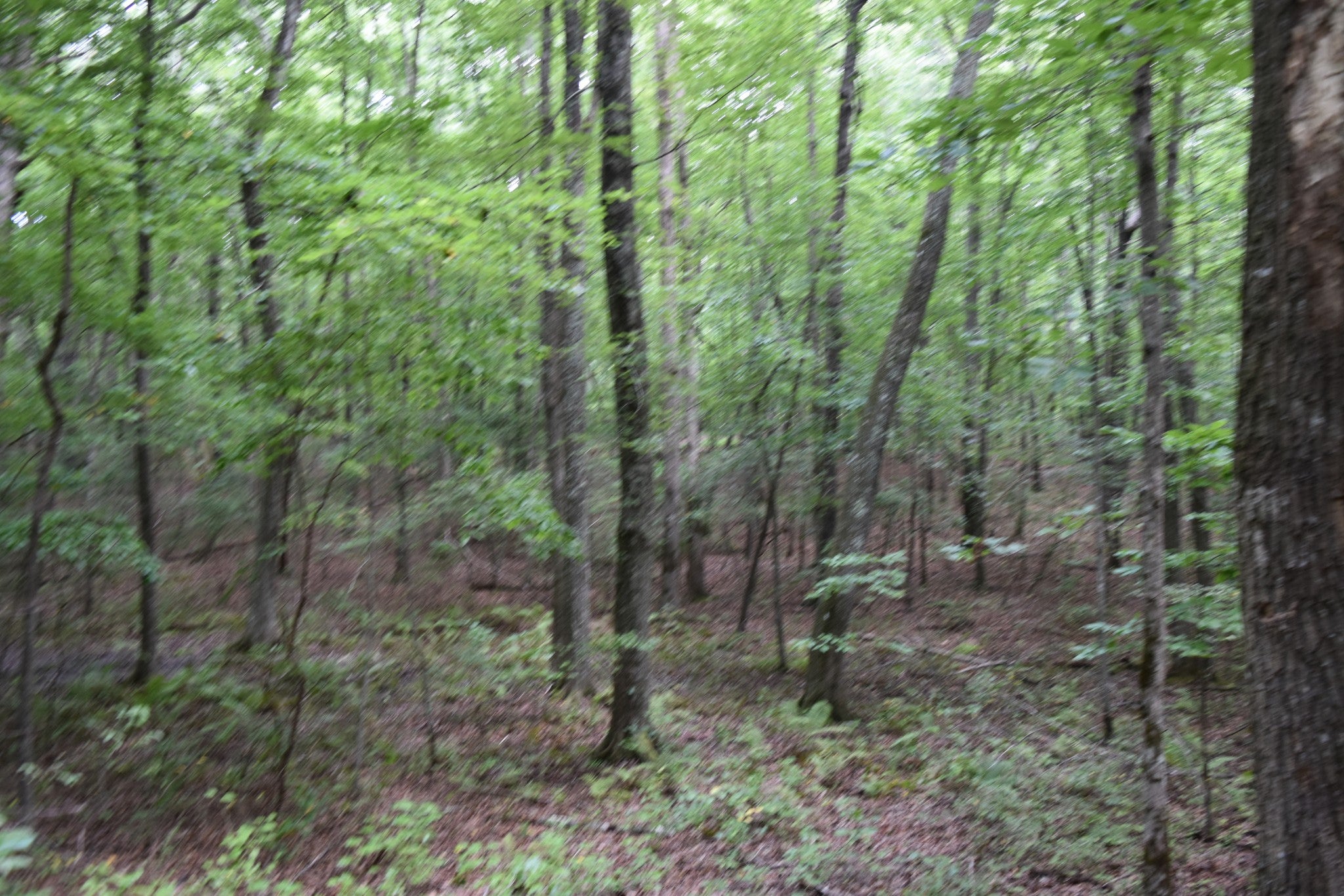 0 Deep Woods Road
