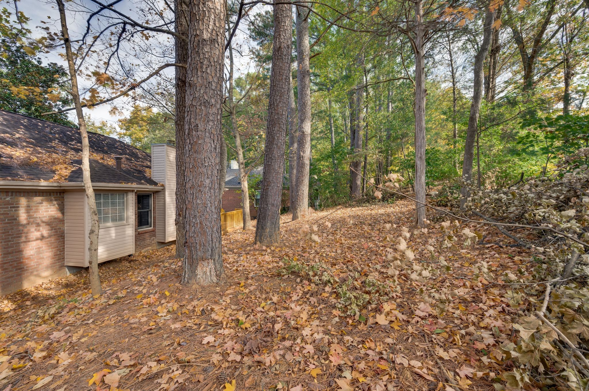 Nashville, Tennessee 37214, United States, 4 Bedrooms Bedrooms, ,3 BathroomsBathrooms,Residential,Active,35557