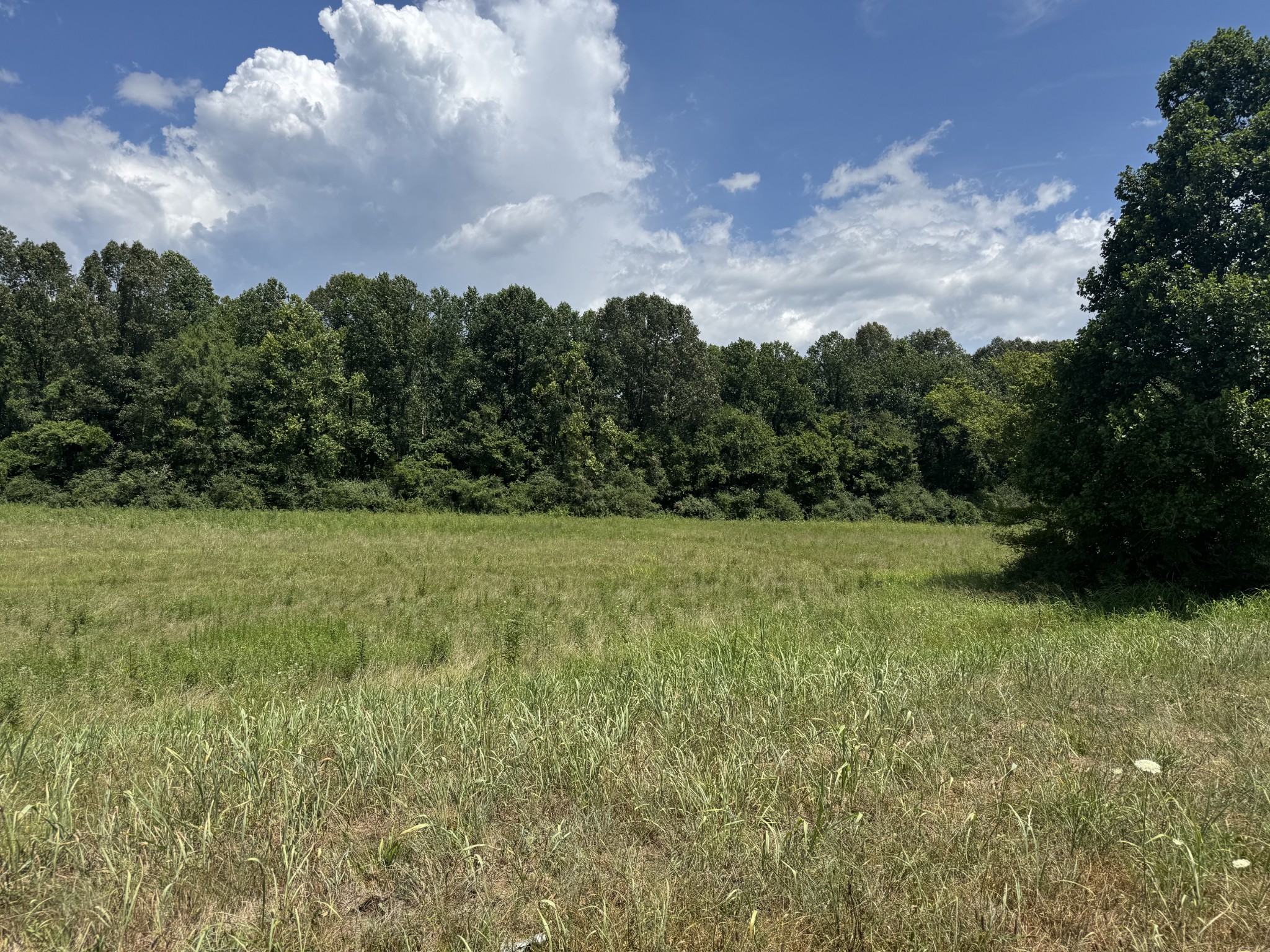 3473 N Grundy Quarles Hwy