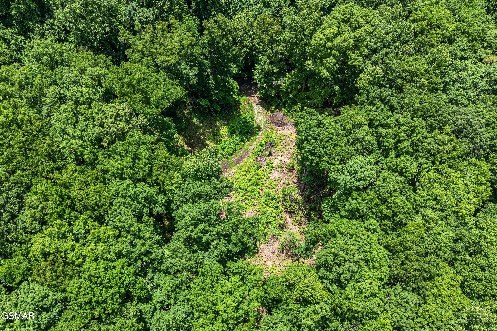 229 Sonshine Ridge Road