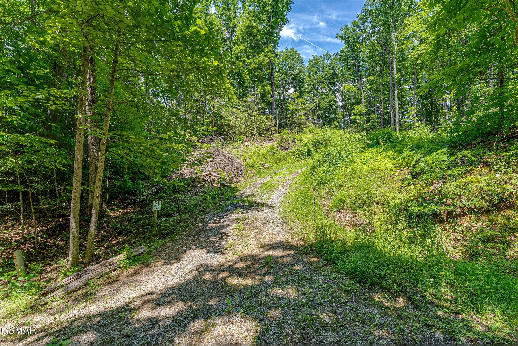229 Sonshine Ridge Road