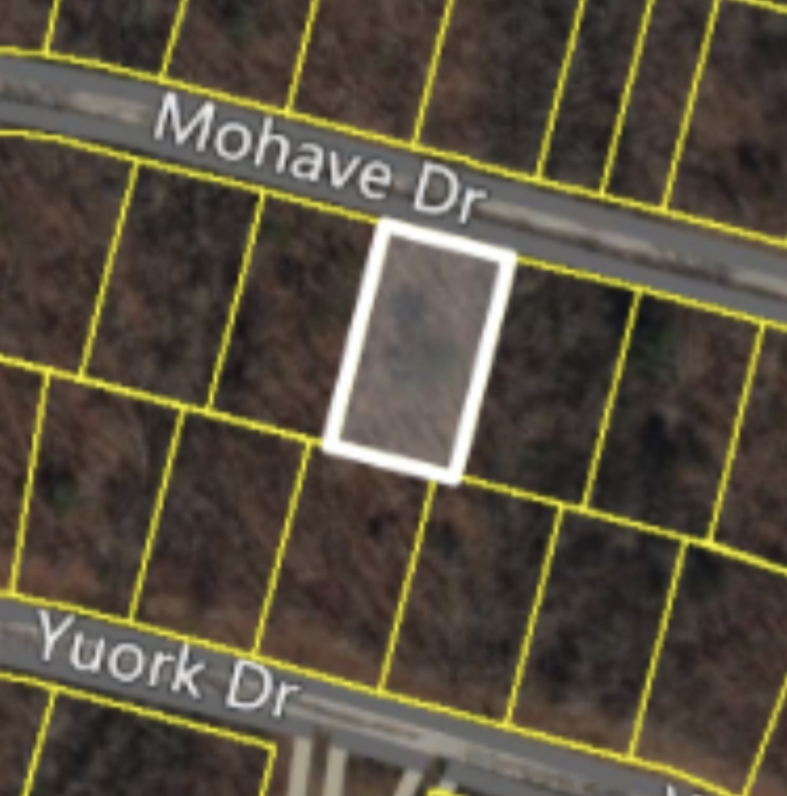 1134 Mohave Dr - Photo 2