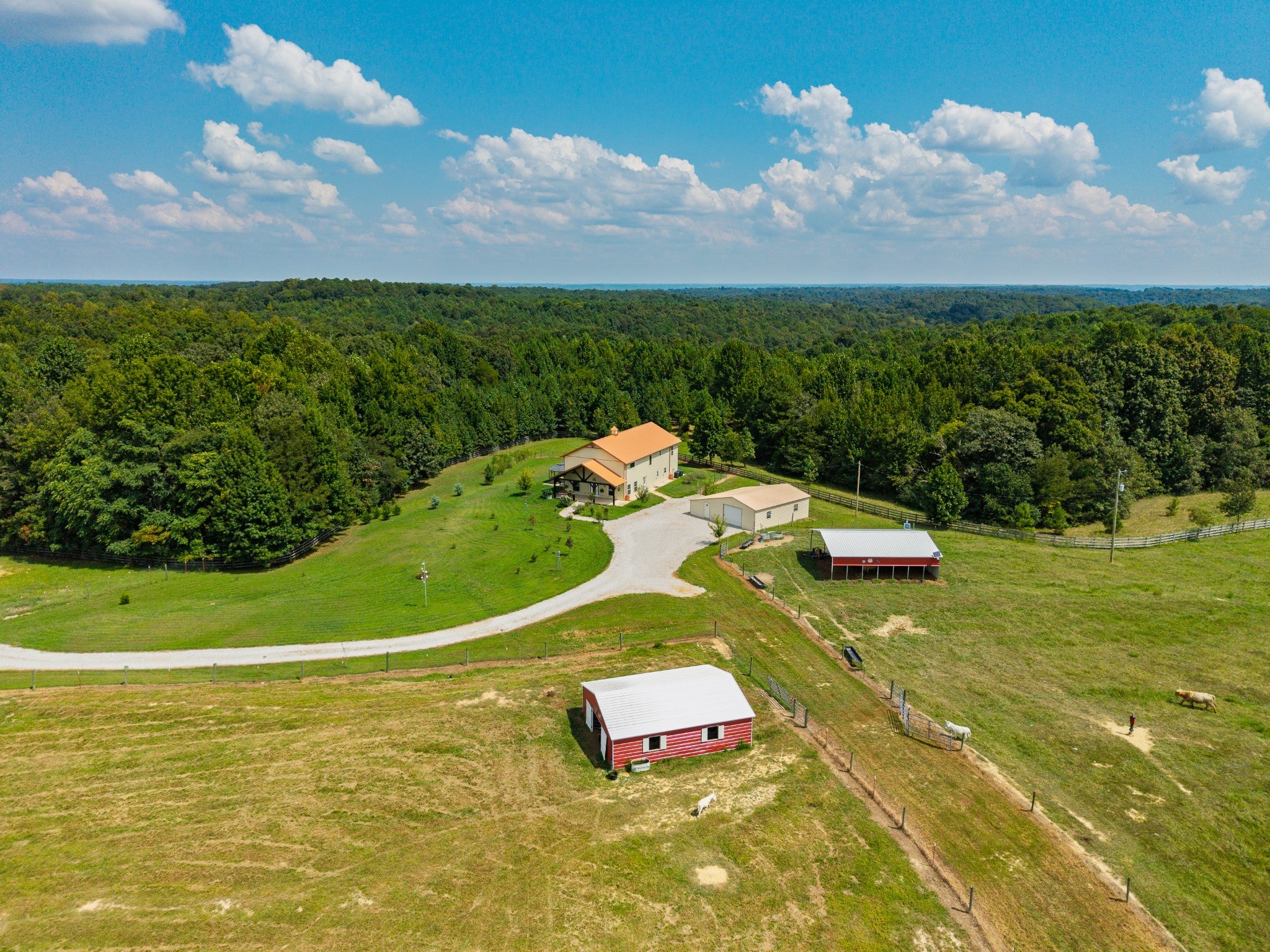 1241 Johnson Branch Rd