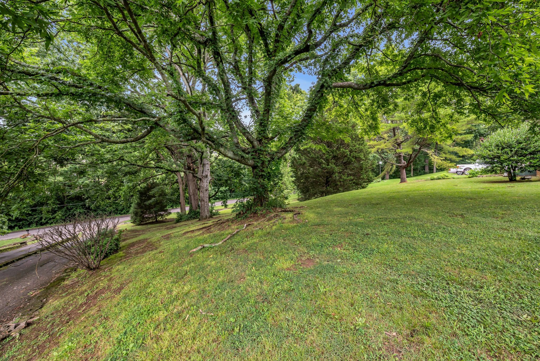 Middle Tennessee Properties 2 6443 Charlotte Road Cir