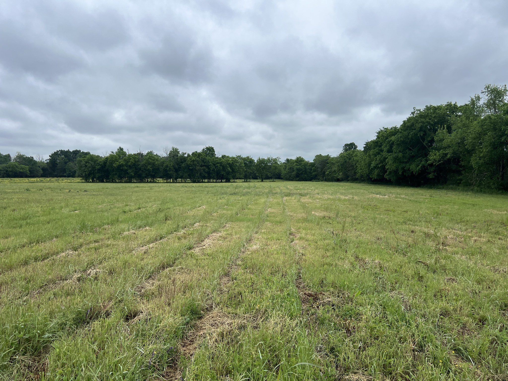 2230 Unionville Deason Rd