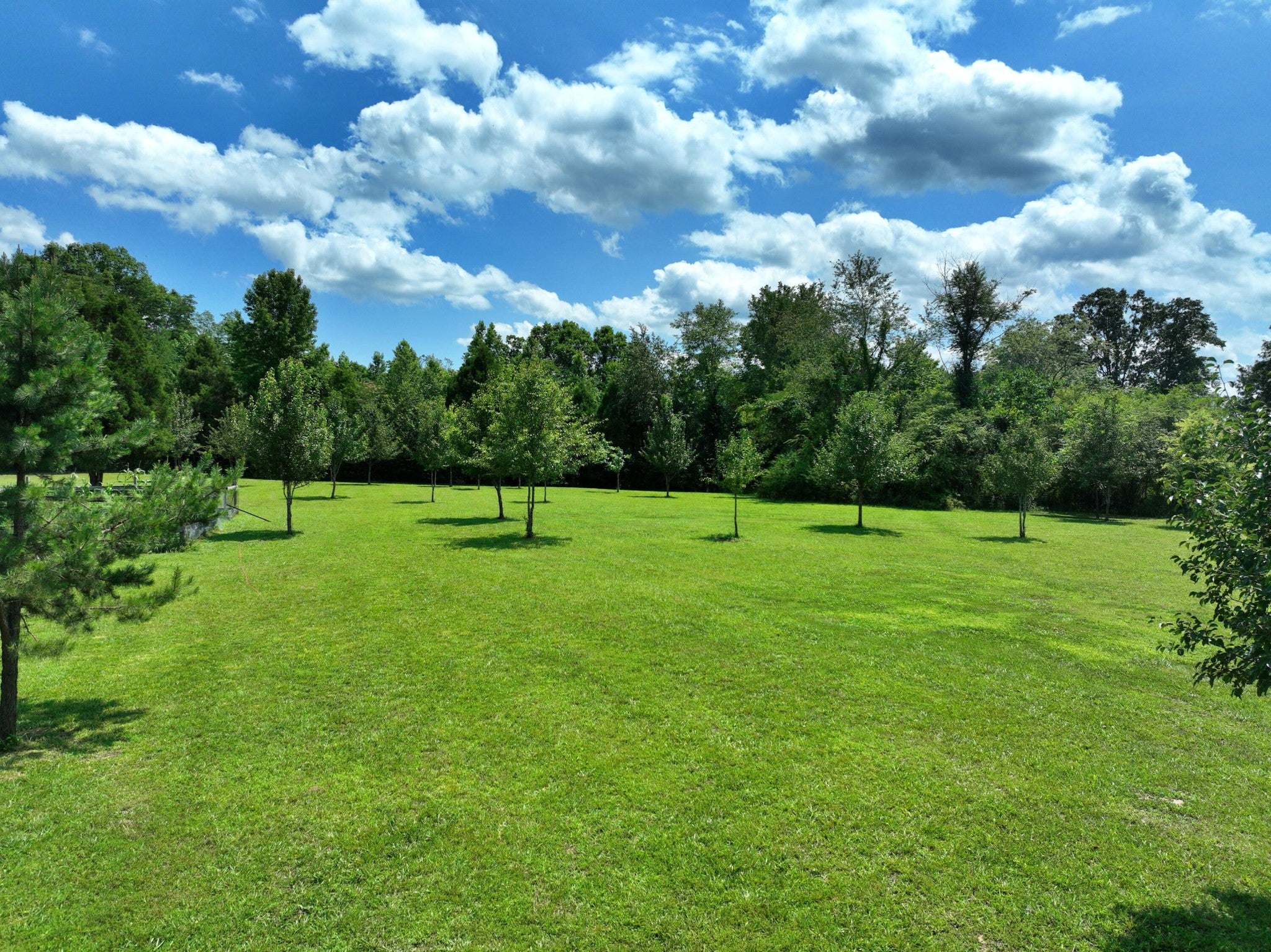 5858 Wolf Creek Road