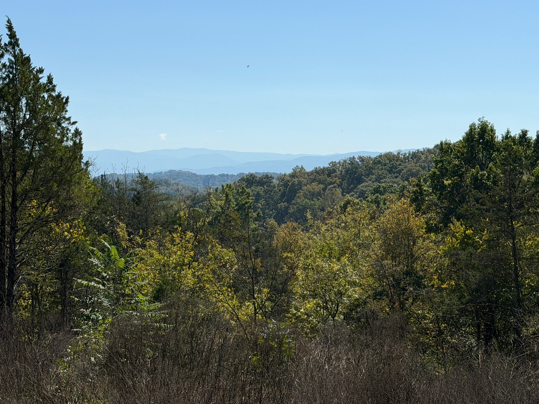 449 Red Cedar Ridge Road