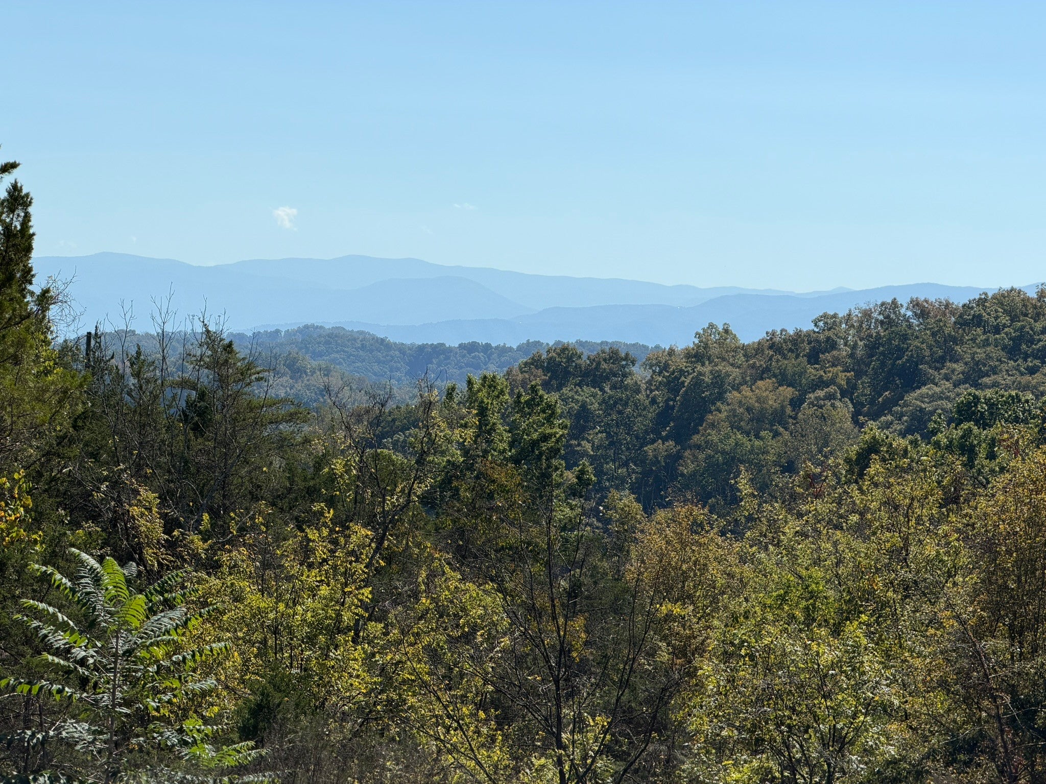 449 Red Cedar Ridge Road