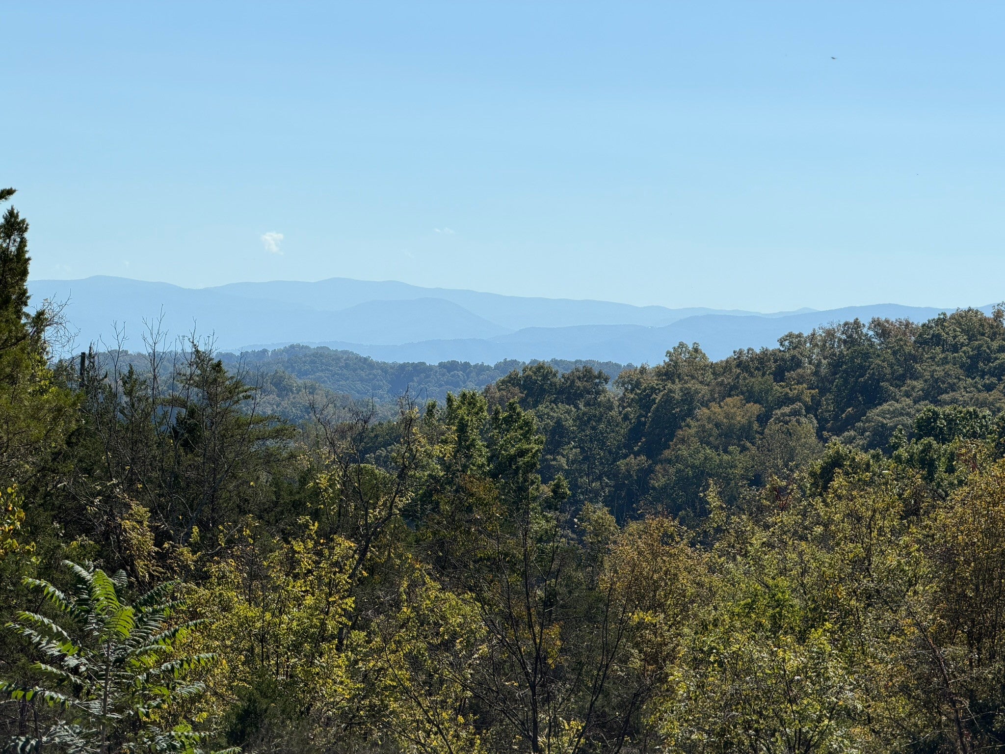 449 Red Cedar Ridge Road