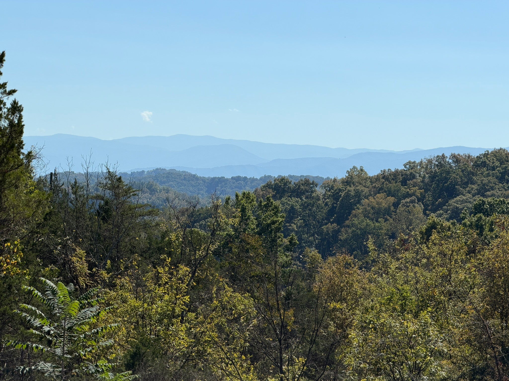 449 Red Cedar Ridge Road