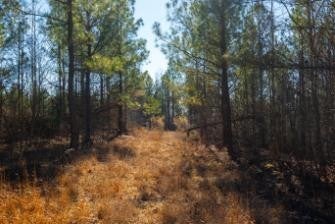 0 White Oak Rd
