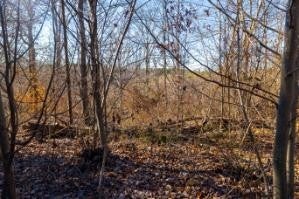 0 White Oak Rd