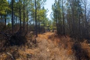 0 White Oak Rd