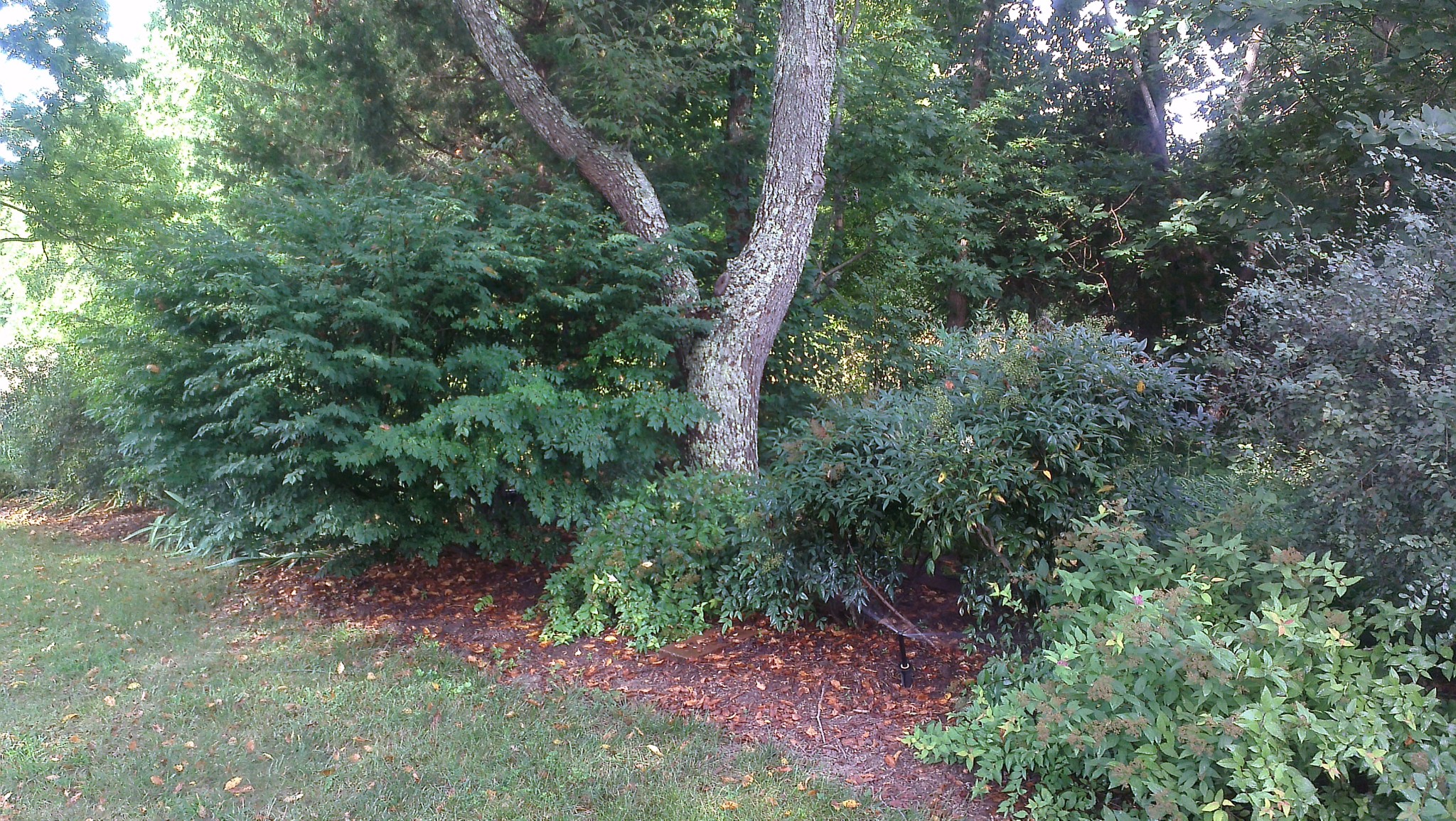 6629 Arno College Grove Rd