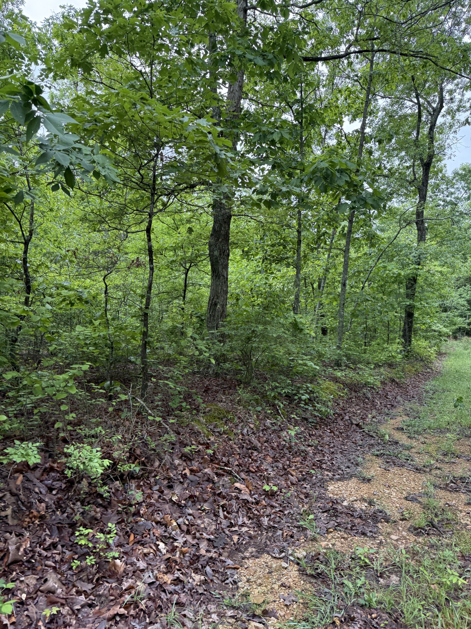0 Turkey Creek Road