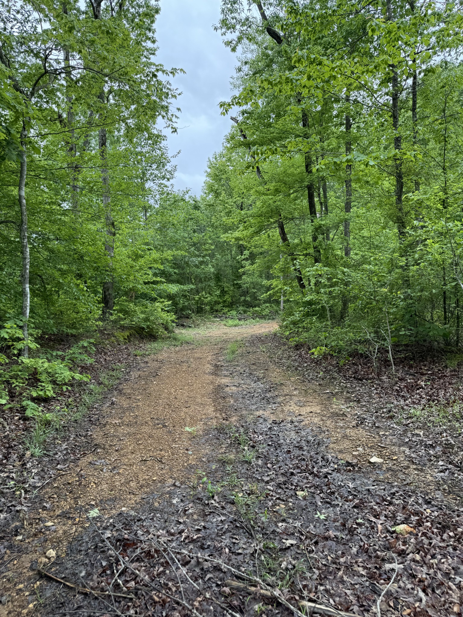 0 Turkey Creek Road