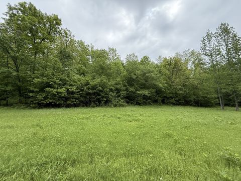 0 Turkey Creek Road Waverly TN 37185