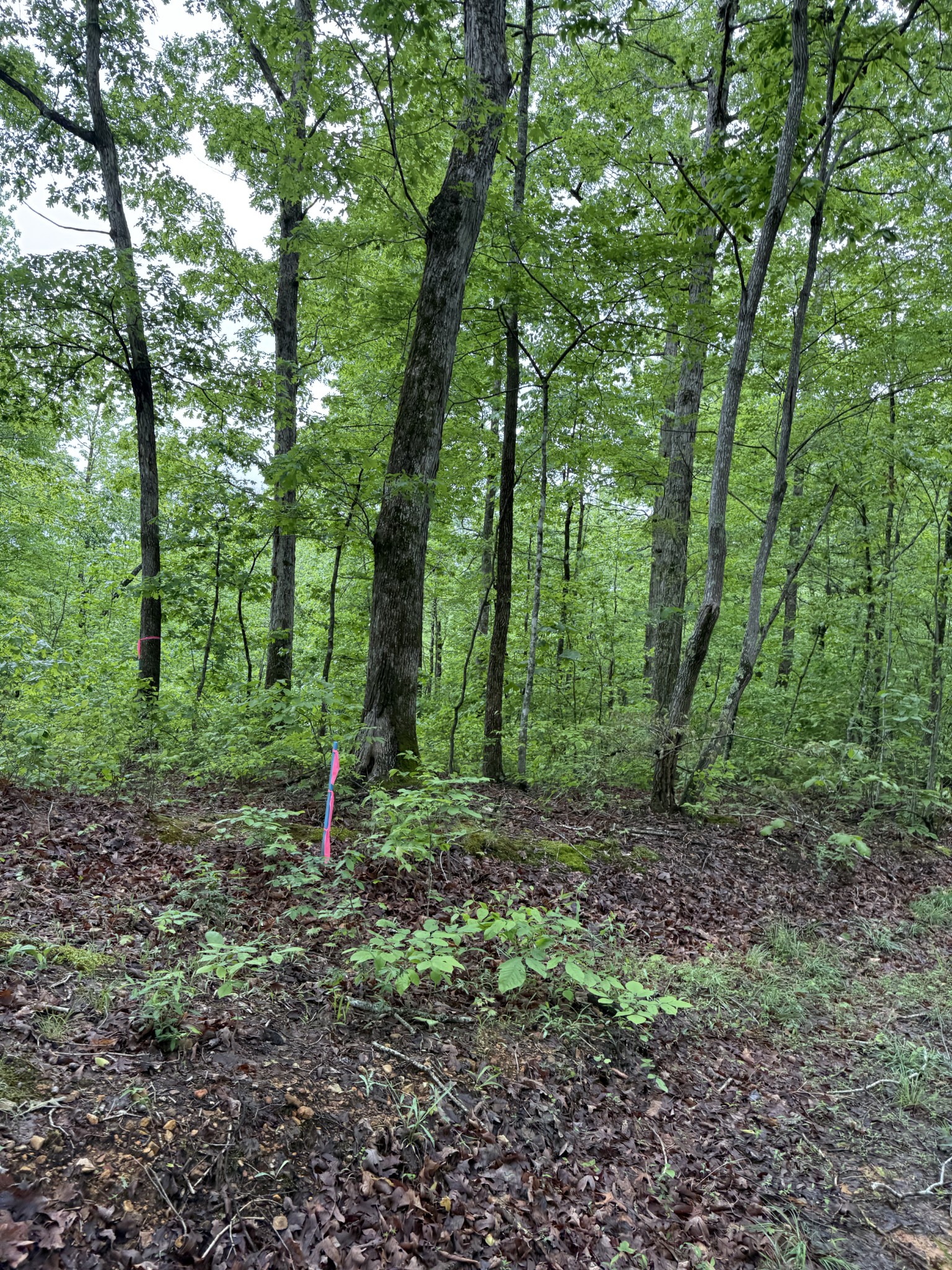0 Turkey Creek Road