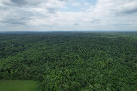 0 Turkey Creek Road Waverly TN 37185