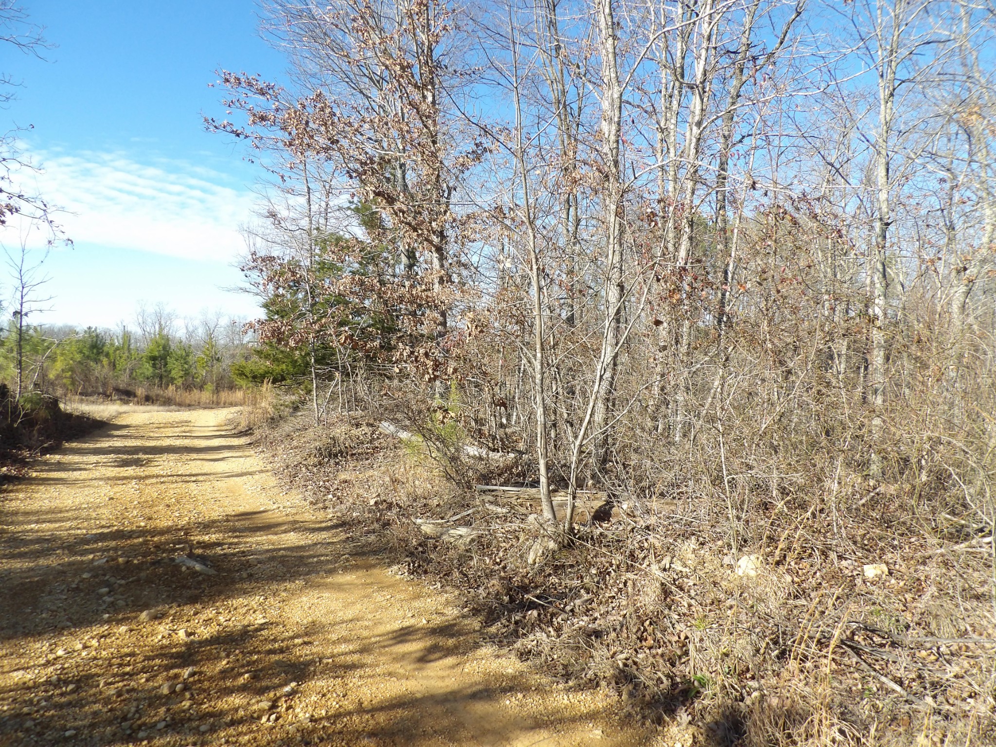 0 Smith Cemetery Lane