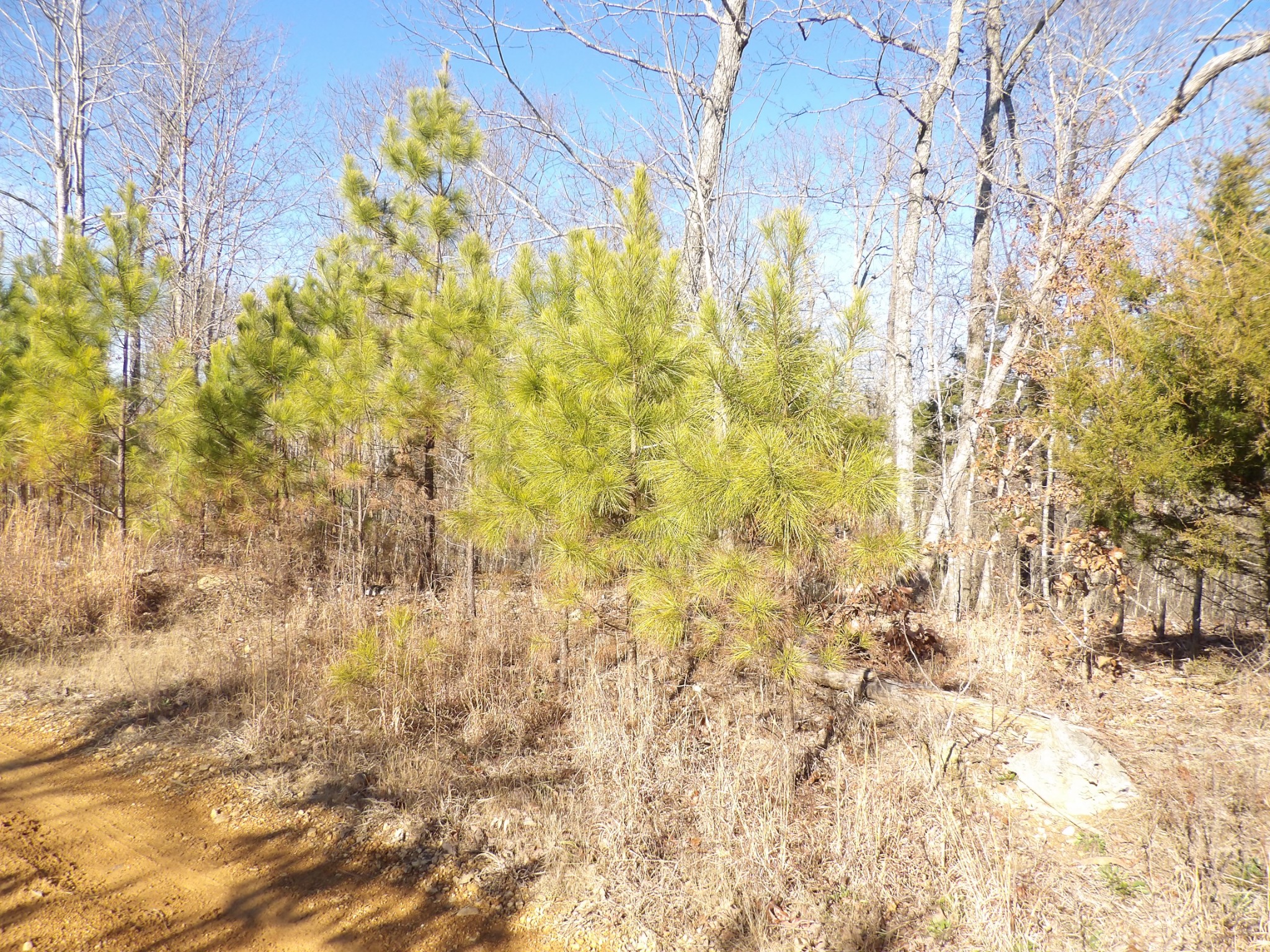 0 Smith Cemetery Lane