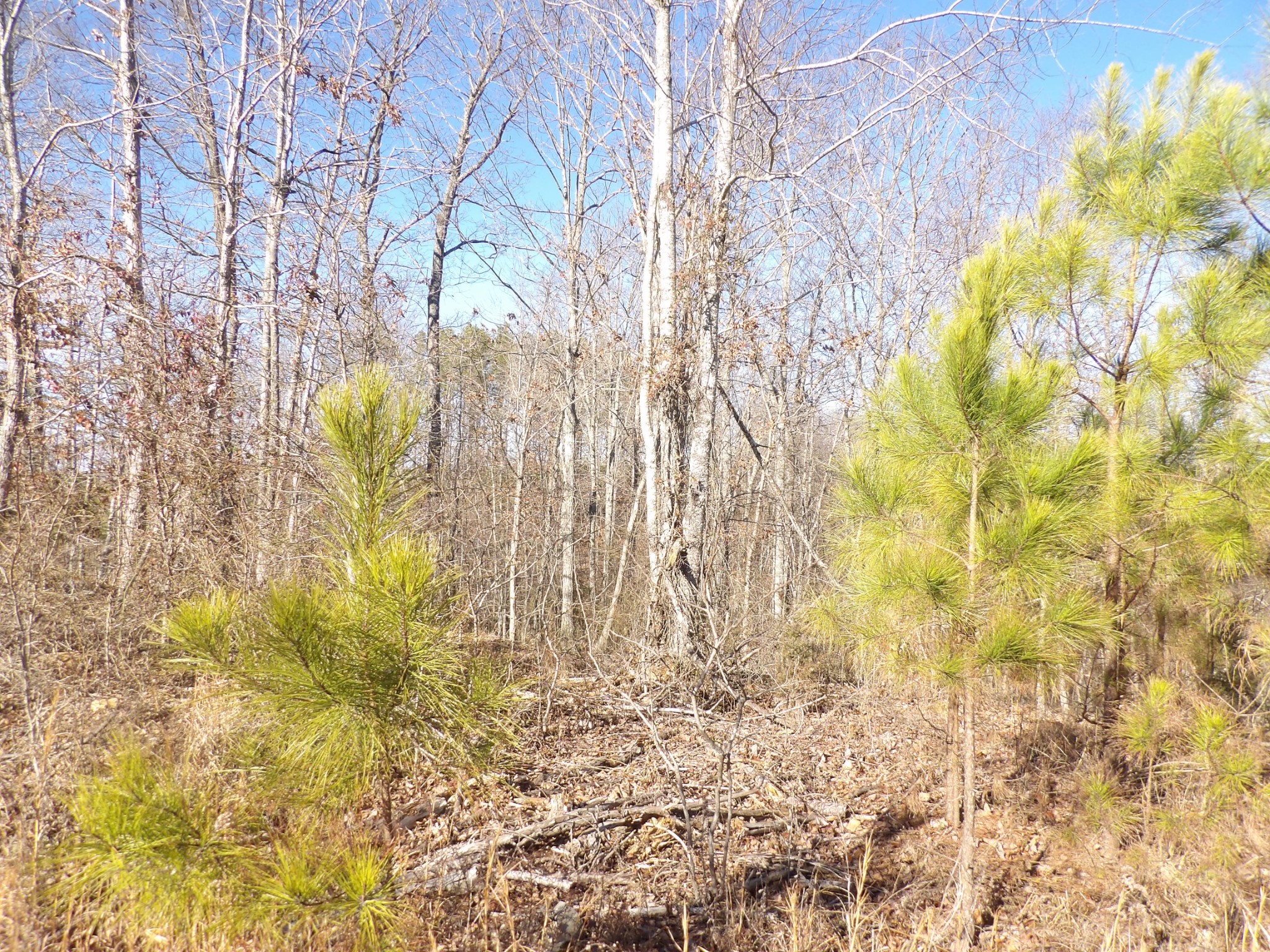 0 Smith Cemetery Lane