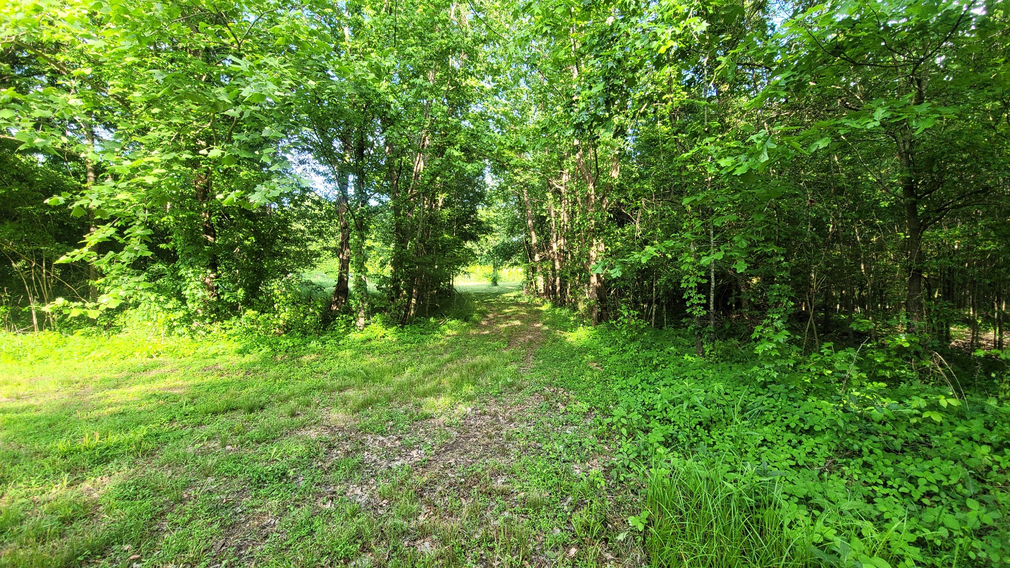 0 Tracy Rd