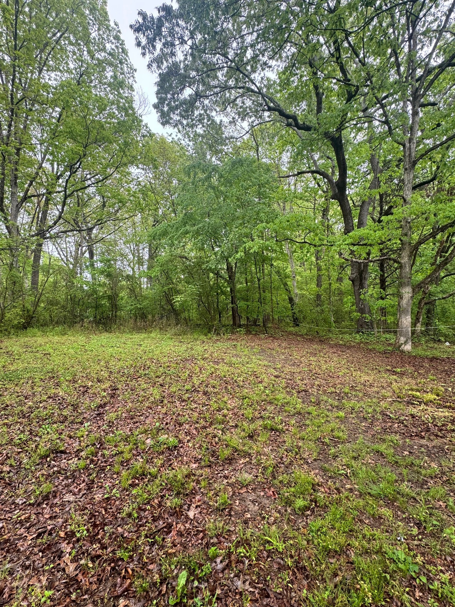 144 Post Oak Ave