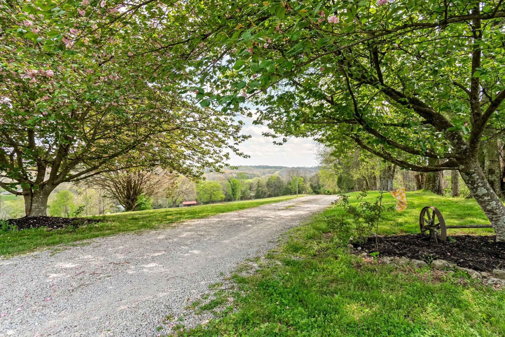 5123 Steam Mill Hollow Rd