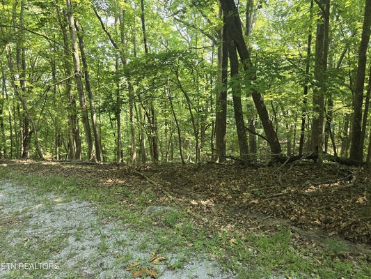 16 TRENTWOOD CT, CROSSVILLE, TN 38558 - Image c8dc929f5b9d25ba8ed524cdcb6b51f1/765839271