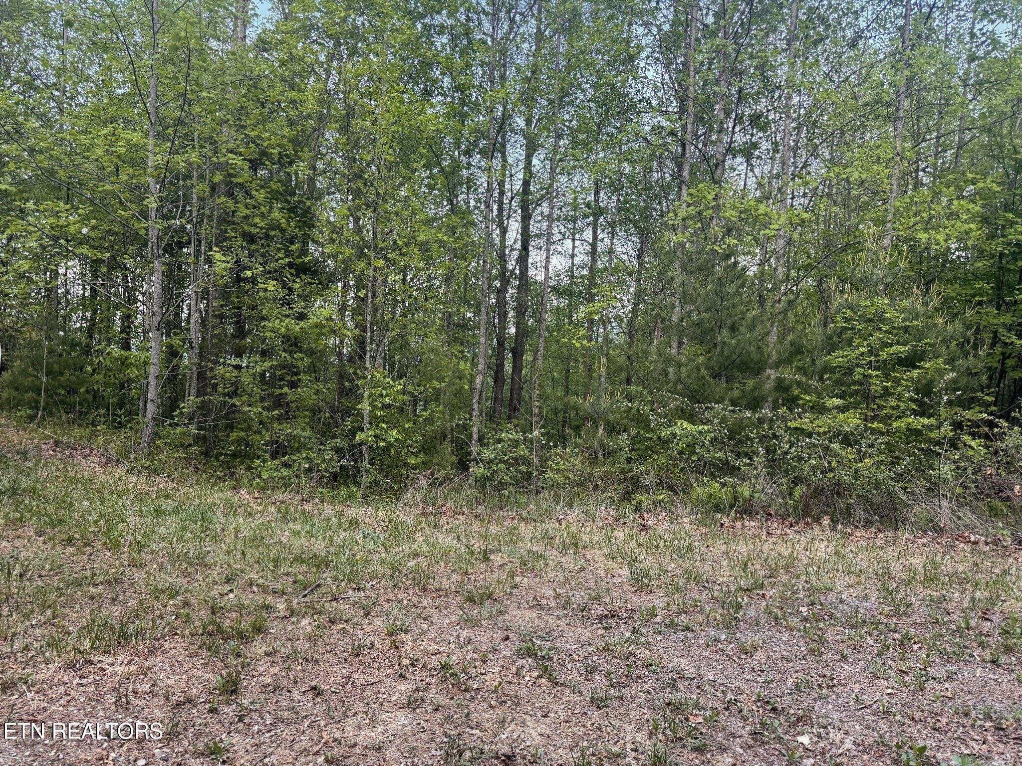 41 Black Maple Way