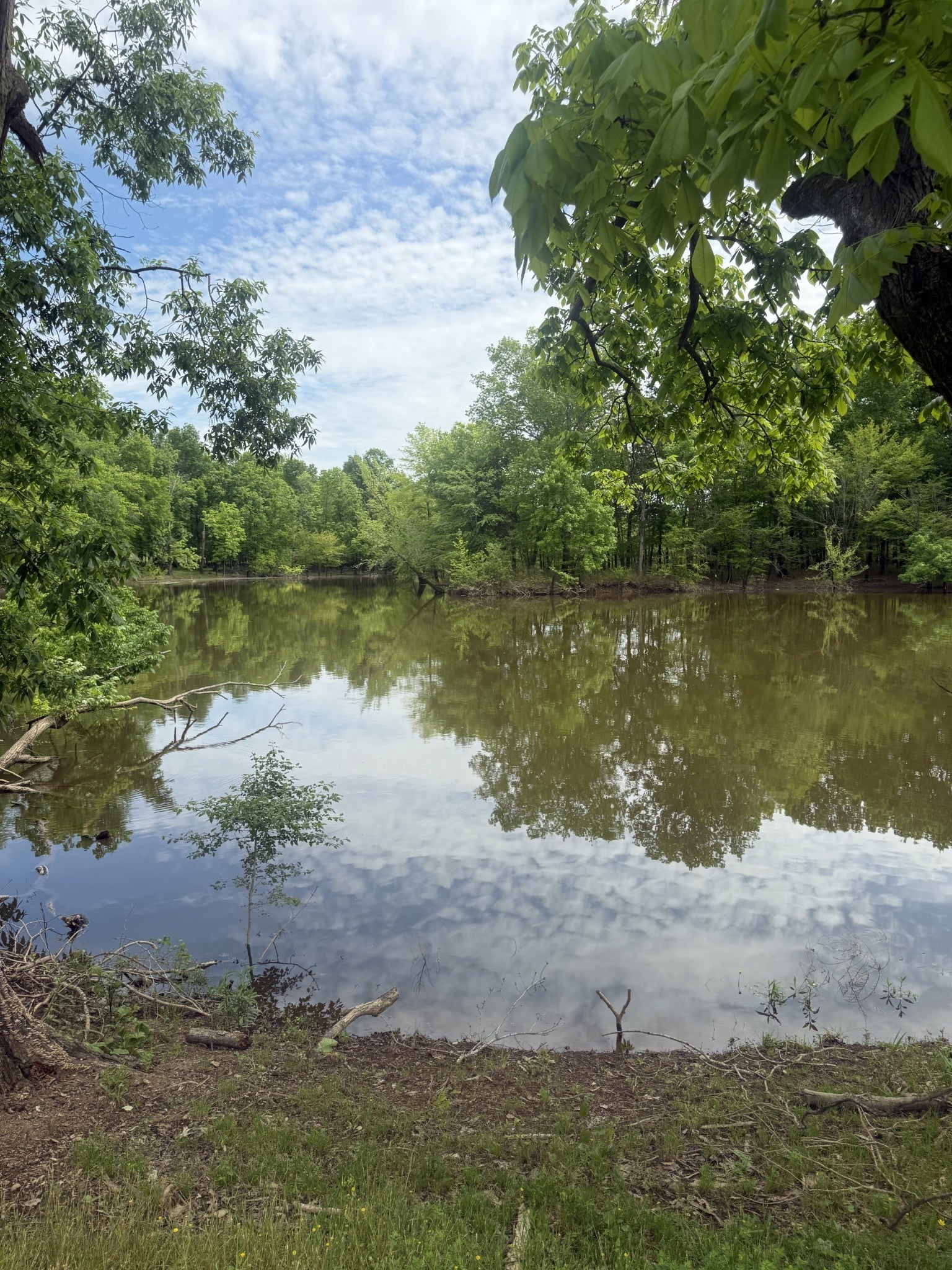 298 Duck Blind Rd