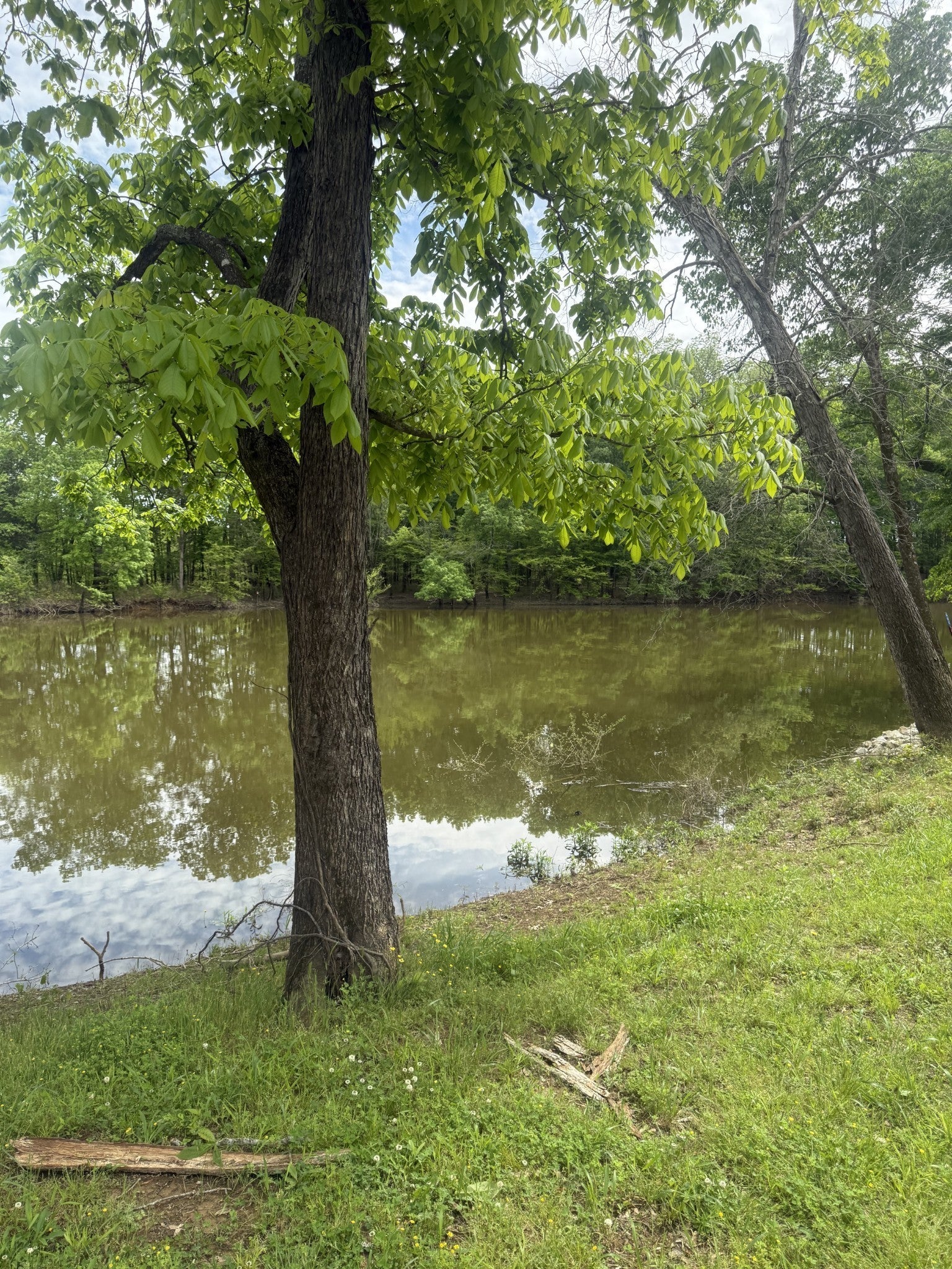 298 Duck Blind Rd