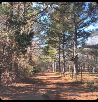 1596 WILBURN PHILLIPS RD, LEWISBURG, TN 37091 - Image c90b1075c64e2f281969bbc954eee4e3/2439609142
