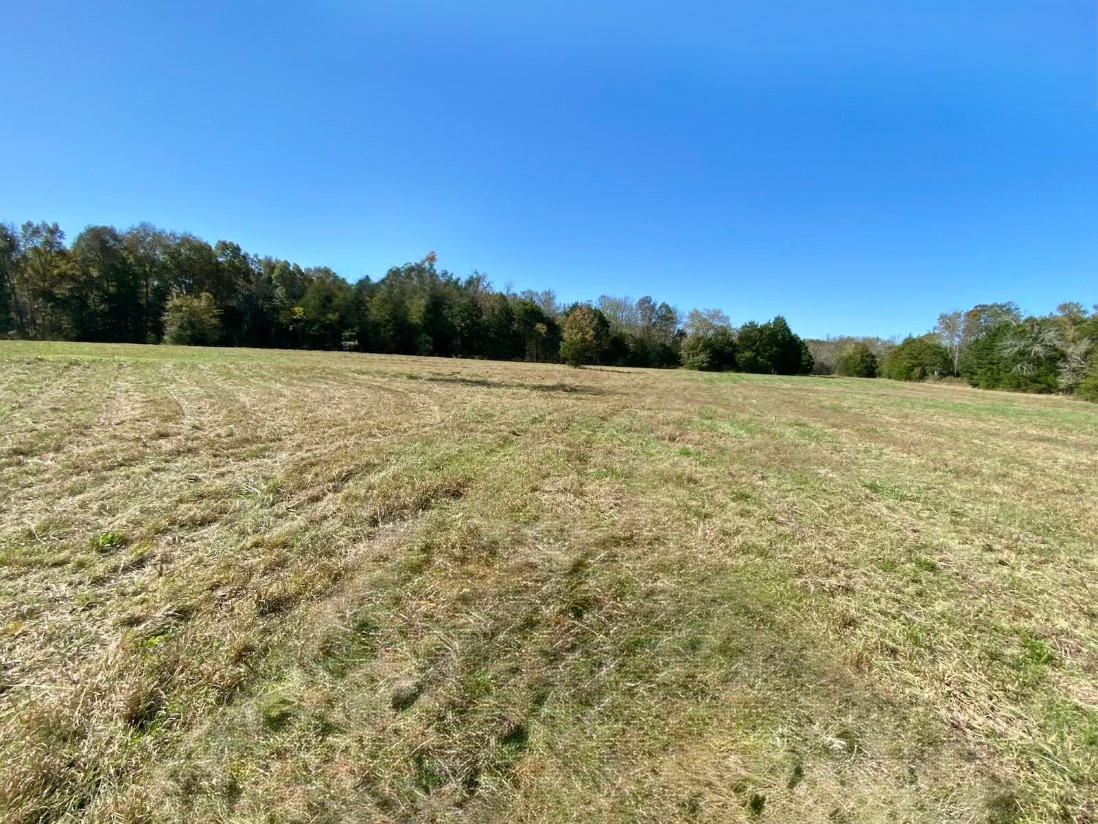1596 Wilburn Phillips Rd