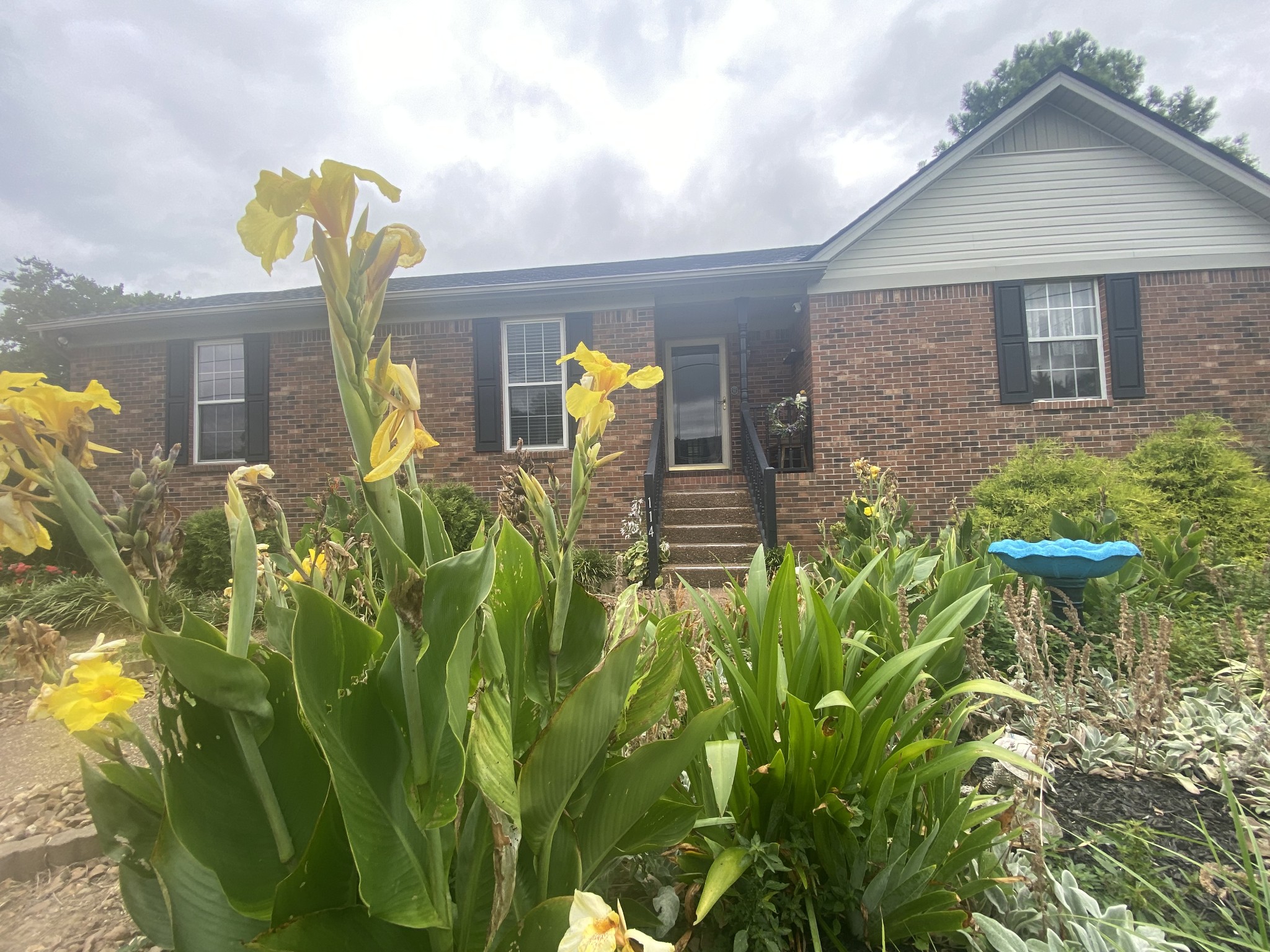 114 Dorman Dr
