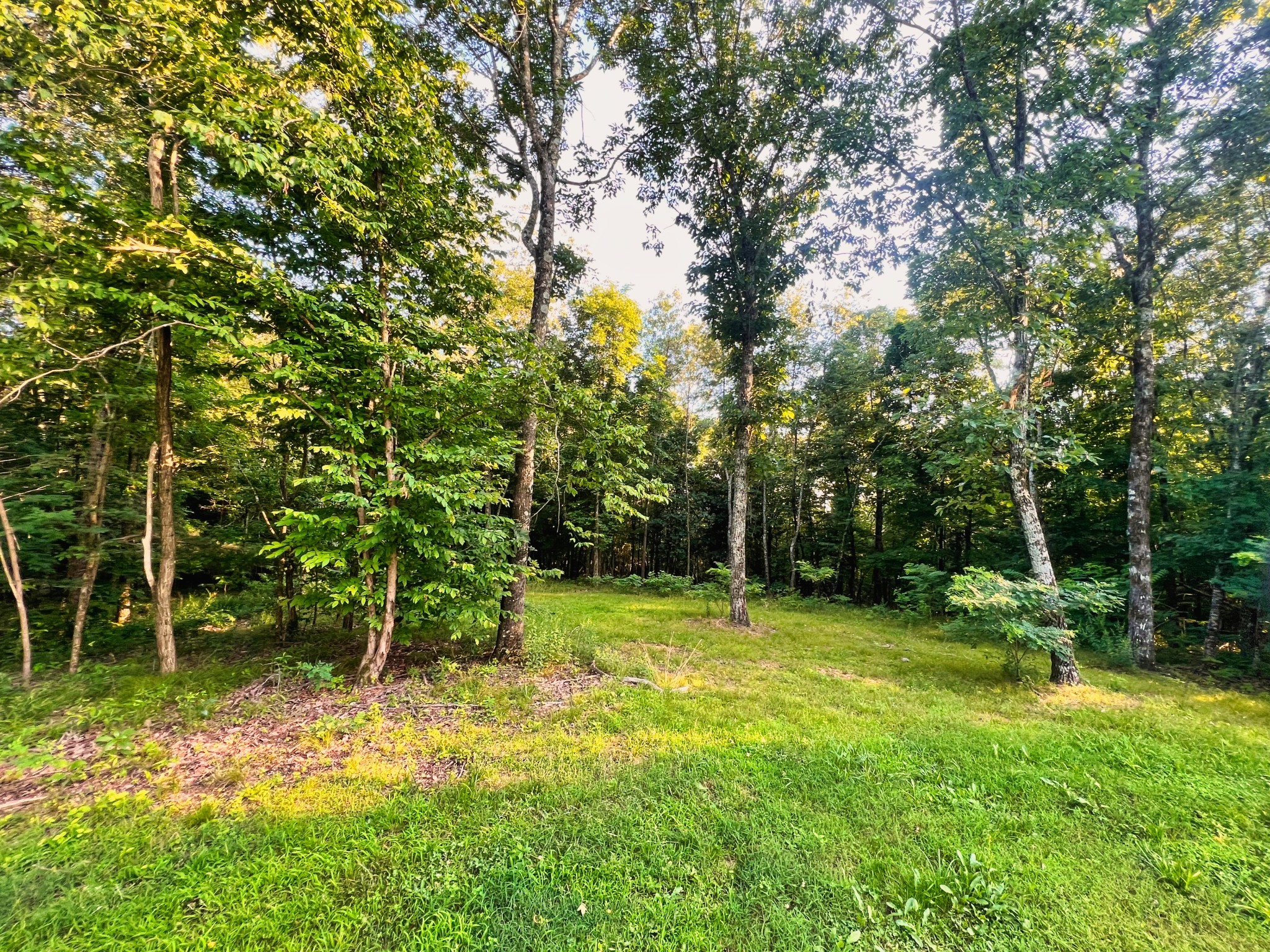 3202 Old Lego School Rd