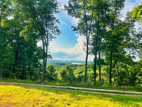 3202 Old Lego School Rd Linden TN 37096