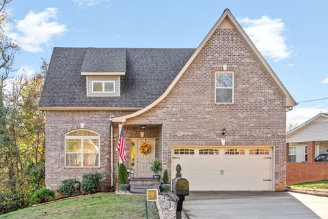326 Cottonwood Ct Clarksville TN 37040