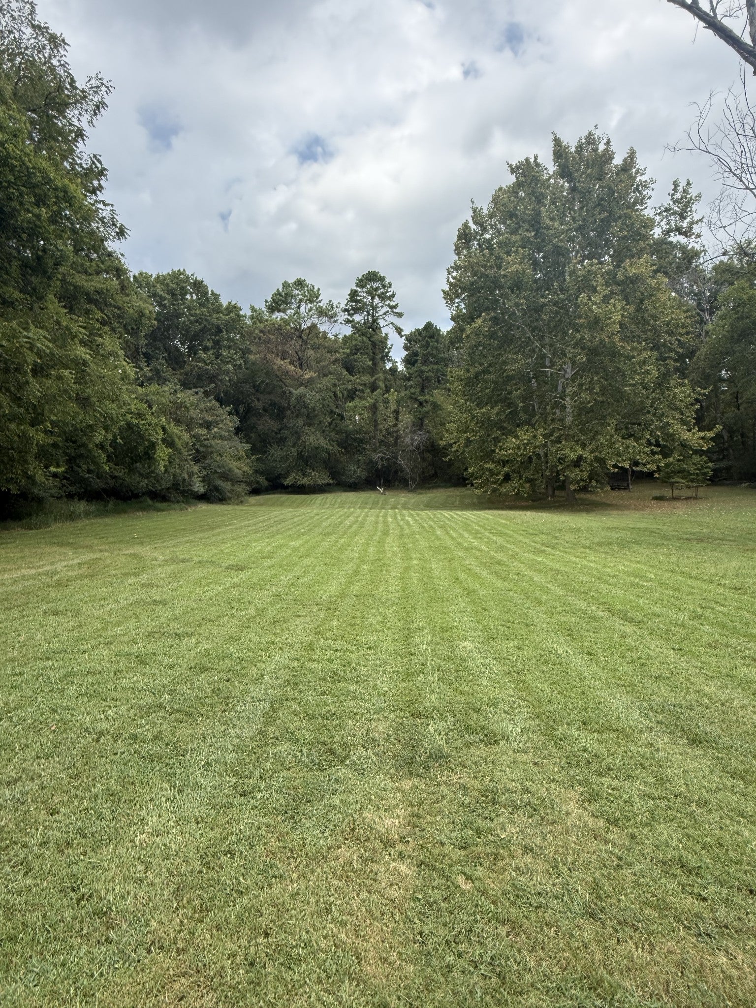 131 Bluegrass Pkwy