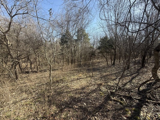 0 EPPS RD, SOUTHSIDE, TN 37171 - Image c93cd6411123b404df5a9ddb3bb38c1c/930836498