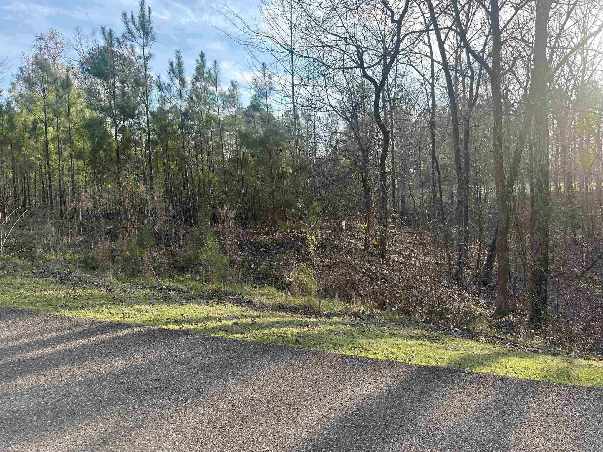 0 SHILOH FALLS COURT RD