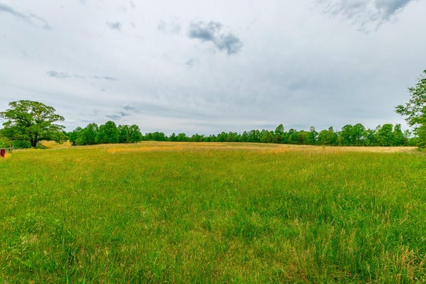 RAY GADD RD, GRAYSVILLE, TN 37338 - Image c94bb7cf5c370e85ea2b79392545a7b3/80929355