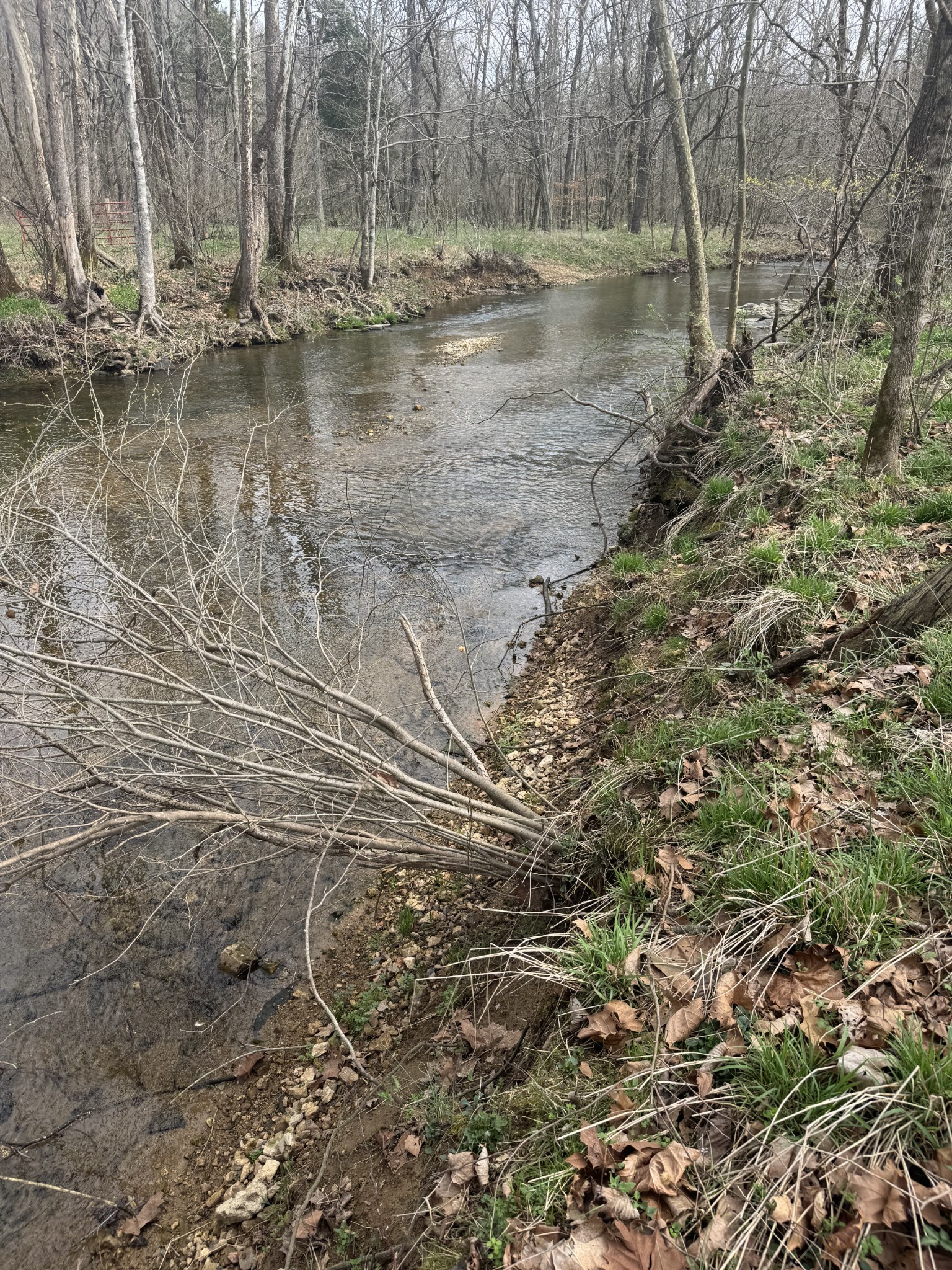 1234 Puncheon Creek Road