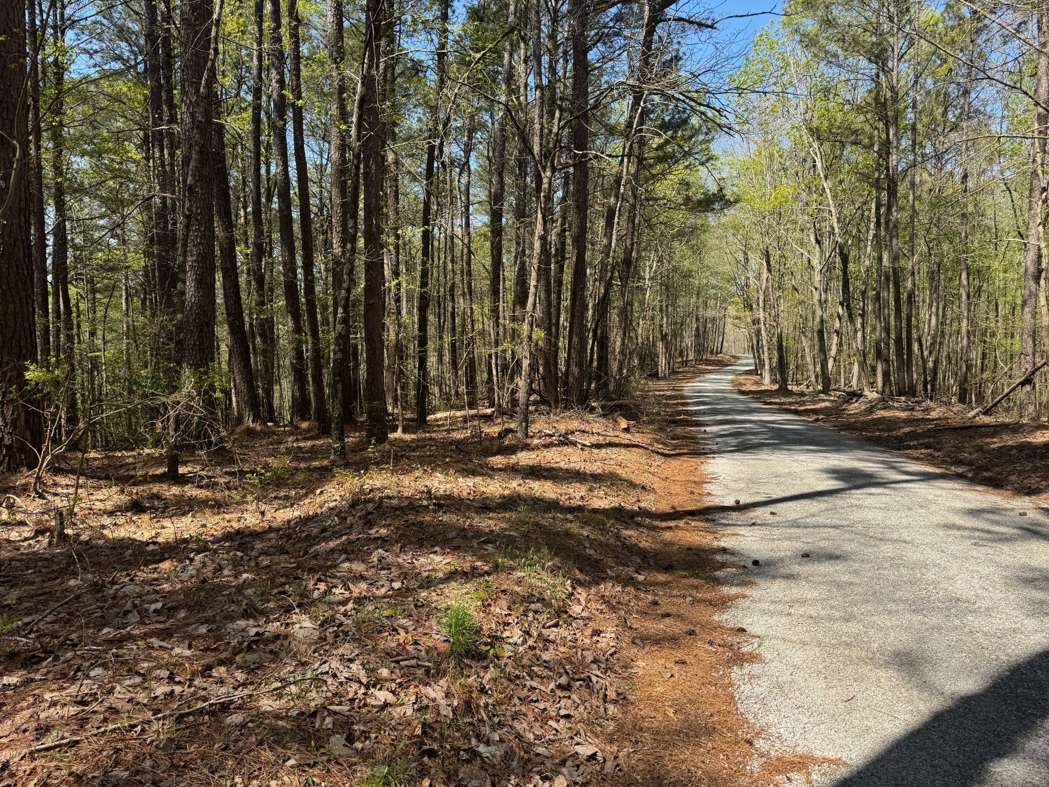 0 Sandys Camp Road