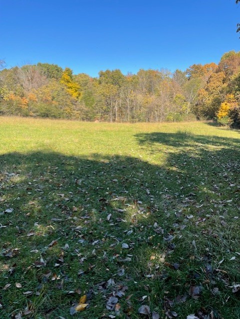 0 Old Nashville Dirt Rd