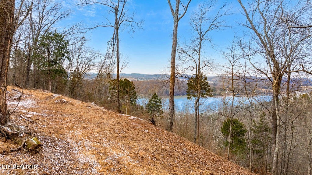 4129 Bear Hollow Loop