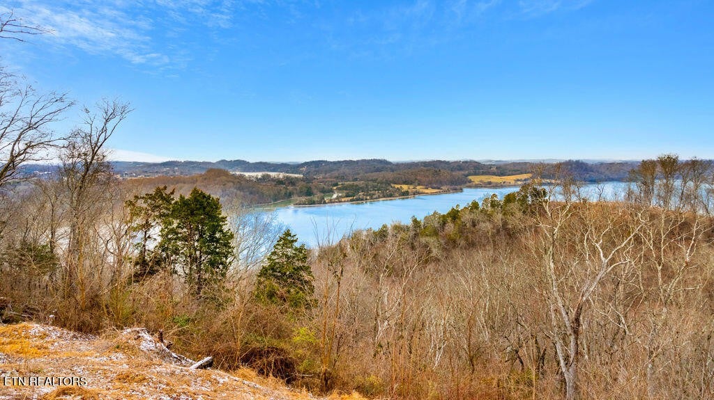 4129 Bear Hollow Loop