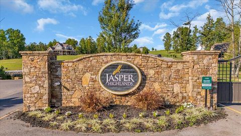 135 Honeybee Court Jasper TN 37347