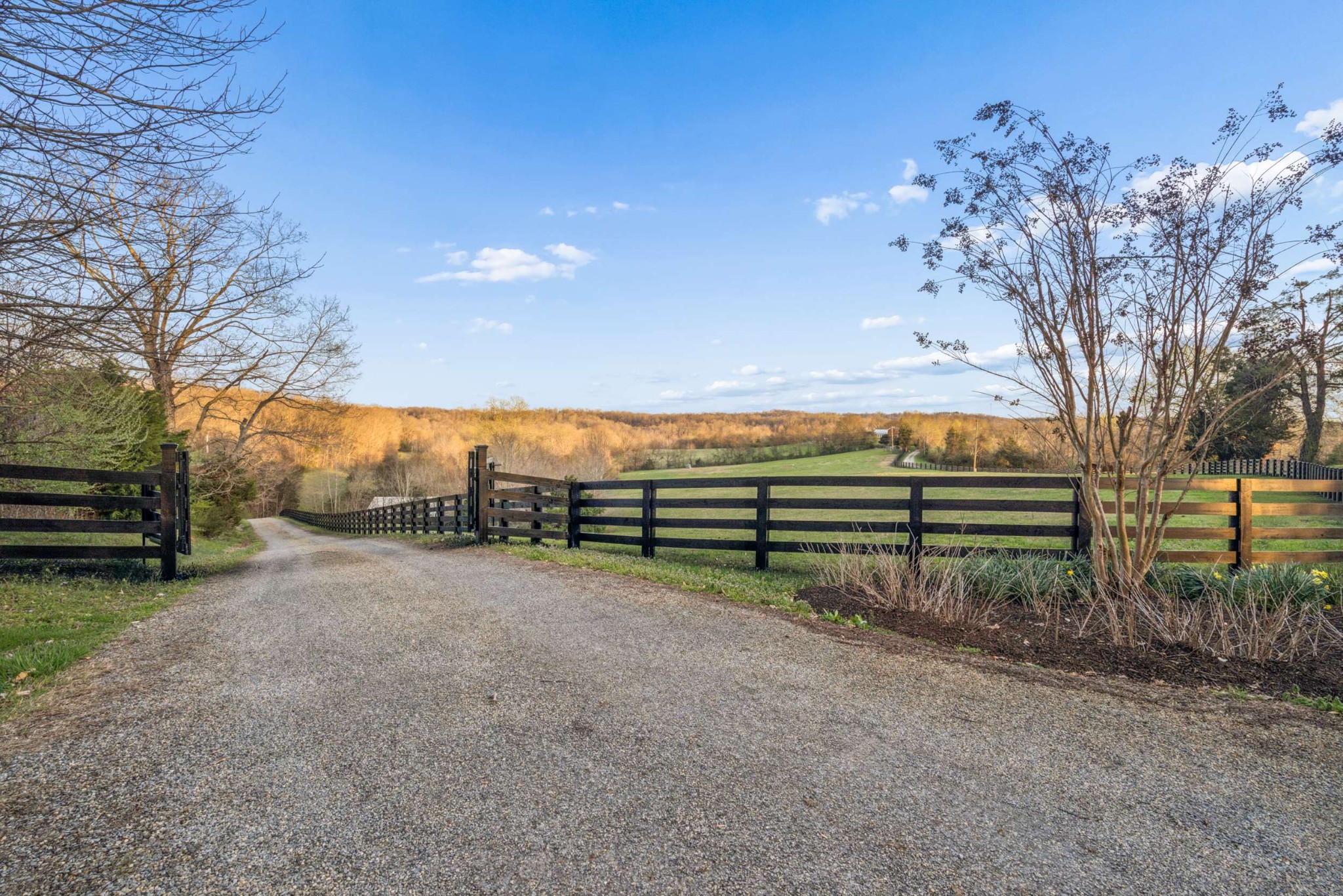 683 Johnson Branch Rd